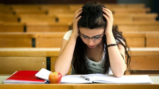 Academic Success with Term Paper