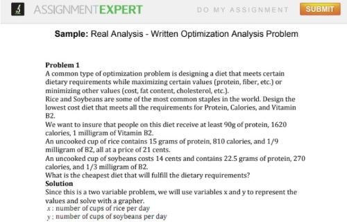 assignmentexpert sample