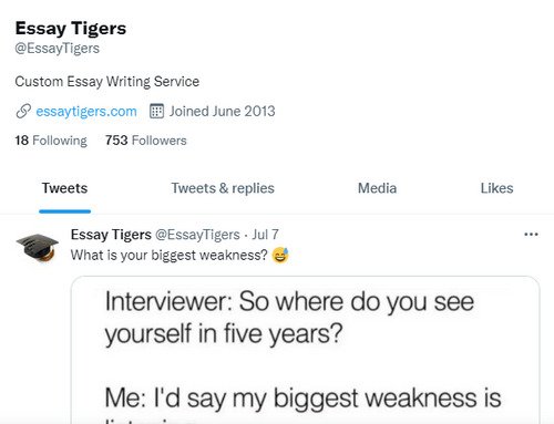 EssayTigers twitter