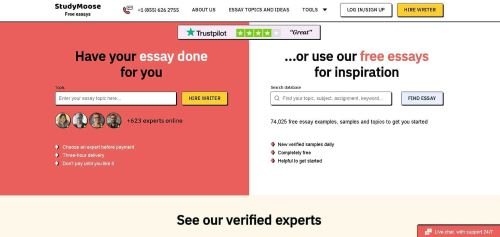 StudyMoose website interface