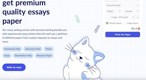 studyfy website