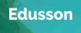 edusson review