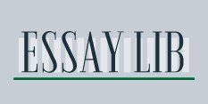 essaylib reviews