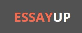 essayup reviews