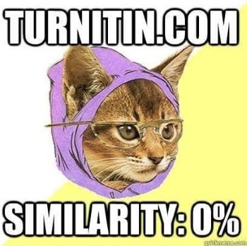 Turnitin Similarity 0