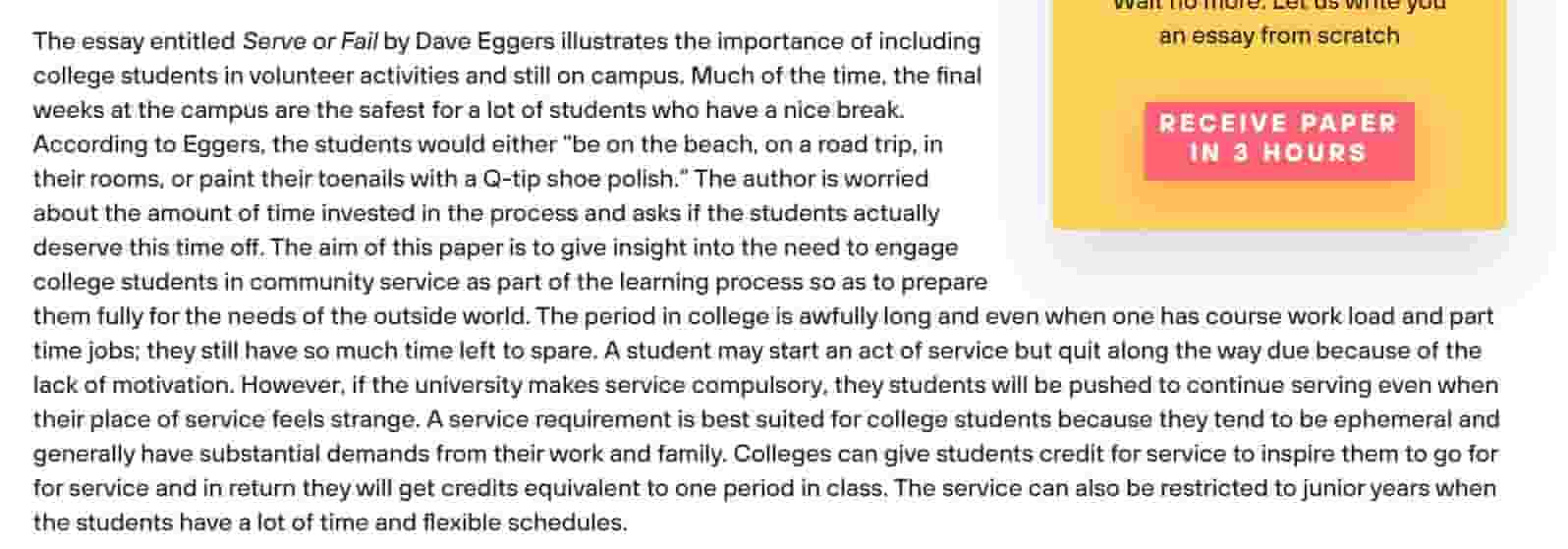essay example