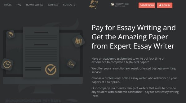essaydragon review