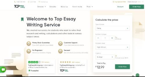 topessaywriting.org reviews