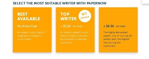 PaperNow writers
